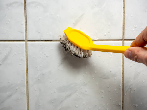 Professional Mold Removal in Beech Grove, IN