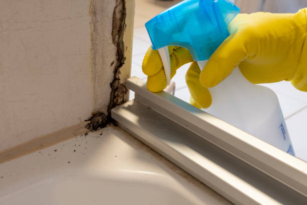 Crawl Space Mold Removal in Beech Grove, IN