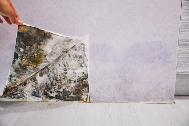 Water Damage Restoration in Beech Grove, IN